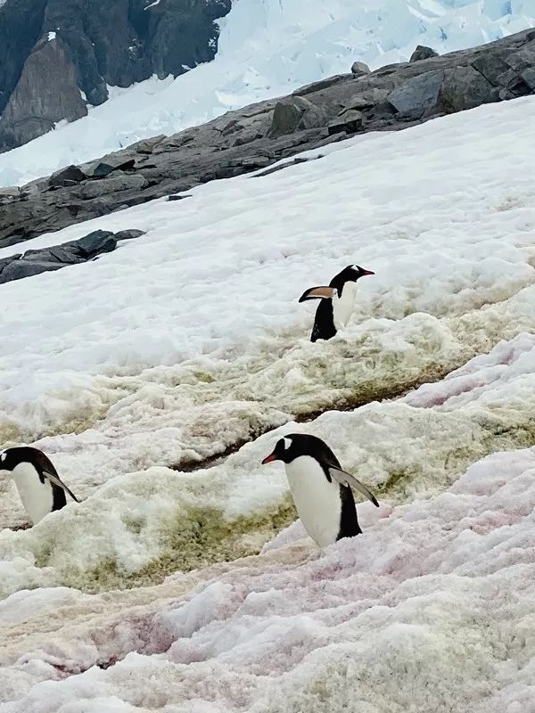 Volando sobre Drake ~ Aventura Antártica Día 1