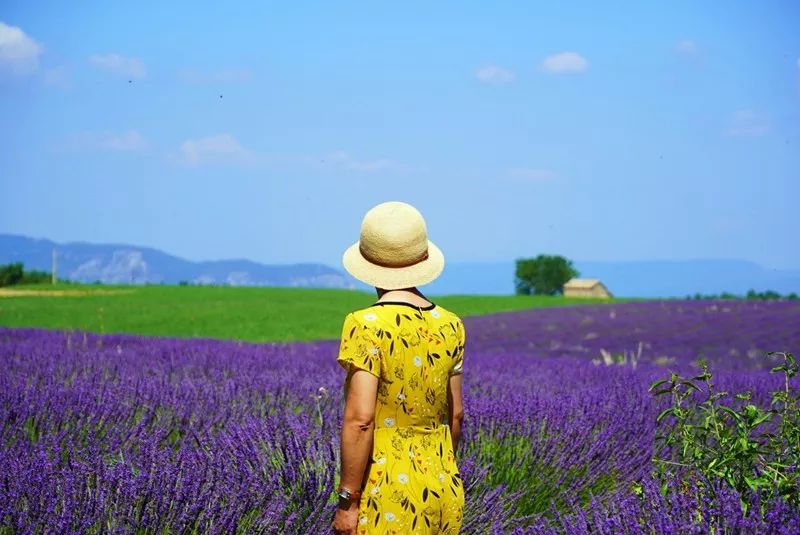 Paisaje del sur de Francia ~ Provenza