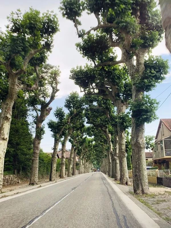 Paisaje del sur de Francia ~ Saint Laurent de Albre