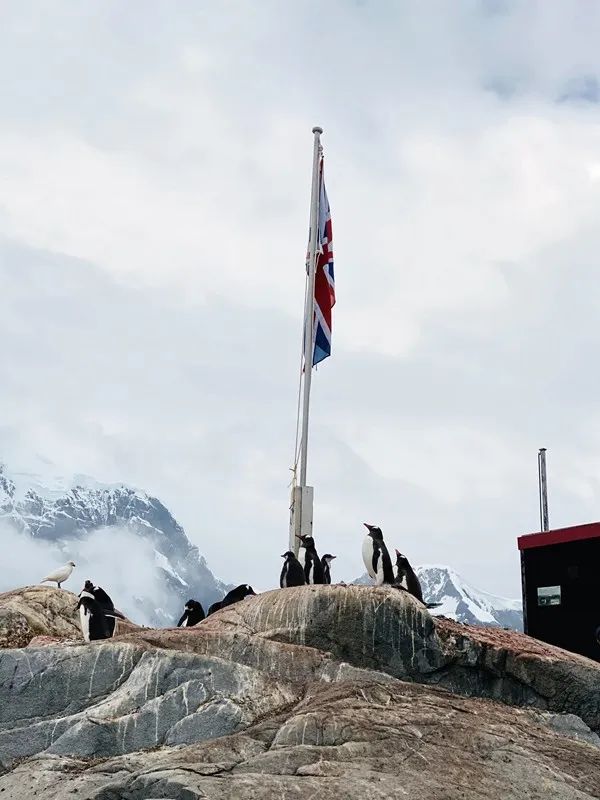 Flying Over Drake ~ Antarctic Adventure Day 2