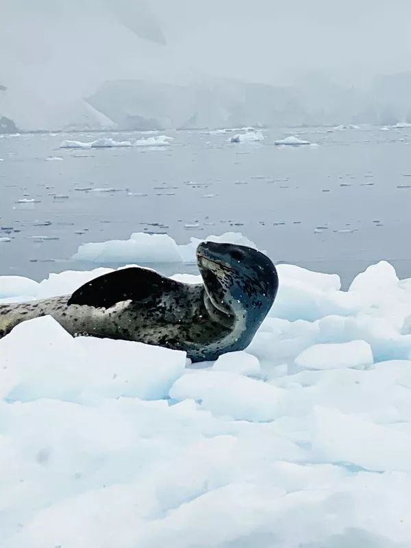 Flying Over Drake ~ Antarctic Adventure Day 1