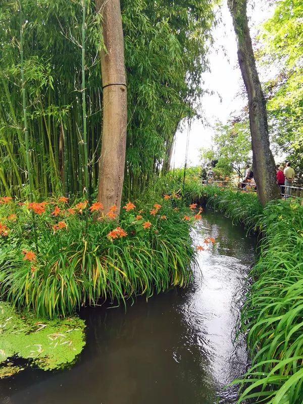 Paisaje del sur de Francia ~ Jardín de Monet