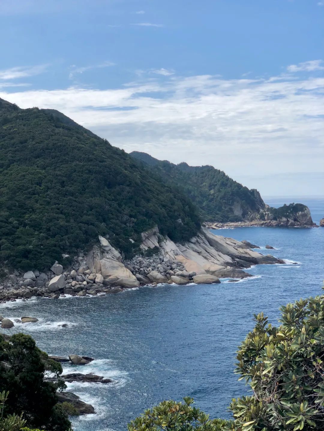 Travel Notes | E04·Yakushima·The appearance of monkeys and the disappearance of deer