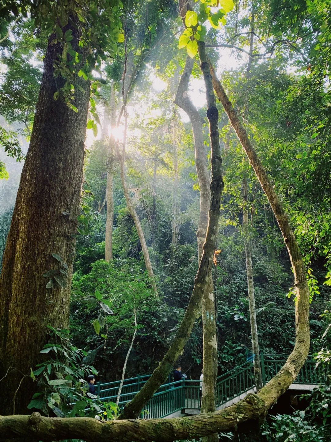 Notas de viaje | Pasemos el invierno en un pueblo tropical