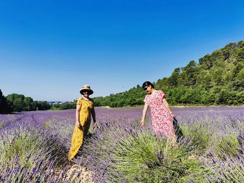 Paisaje del sur de Francia ~ Provenza