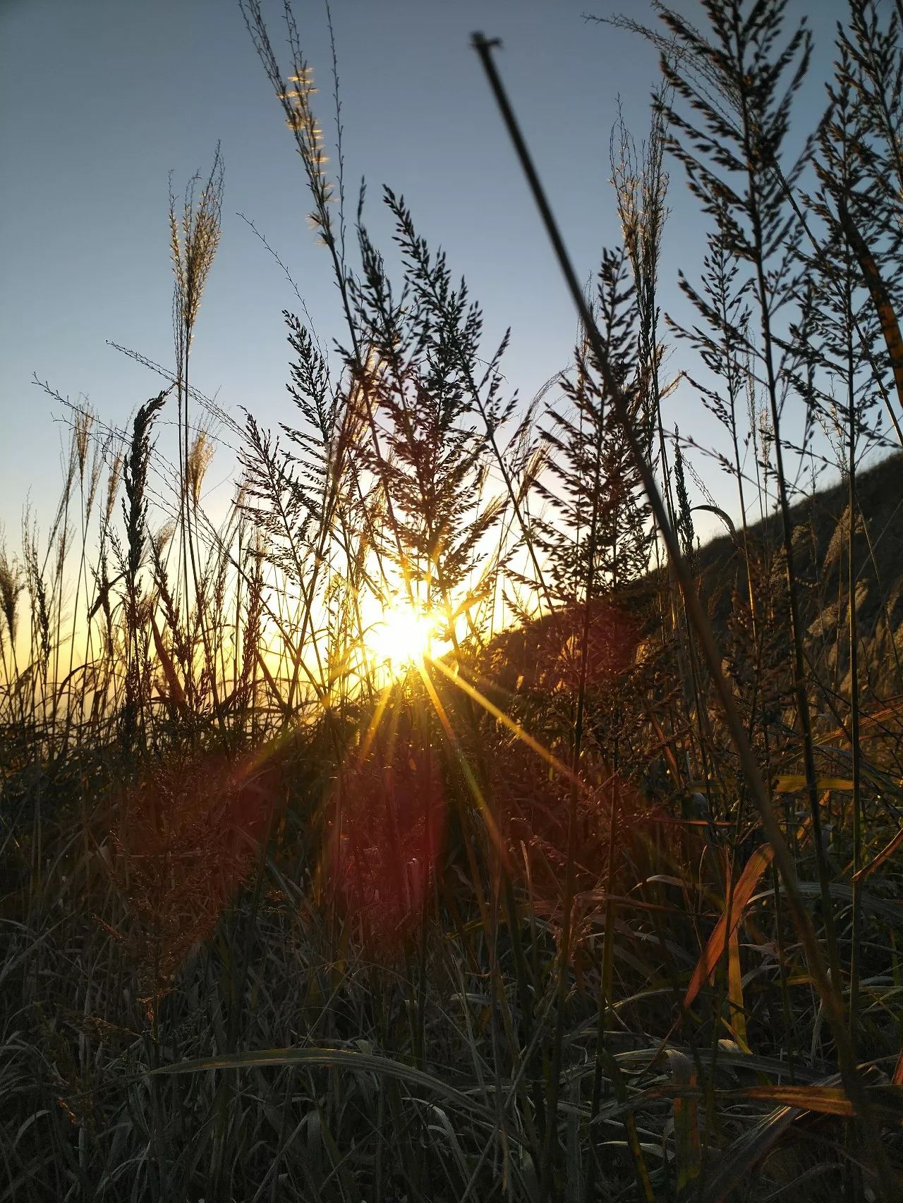 最爱那抹黄，深秋的武功山徒步之旅