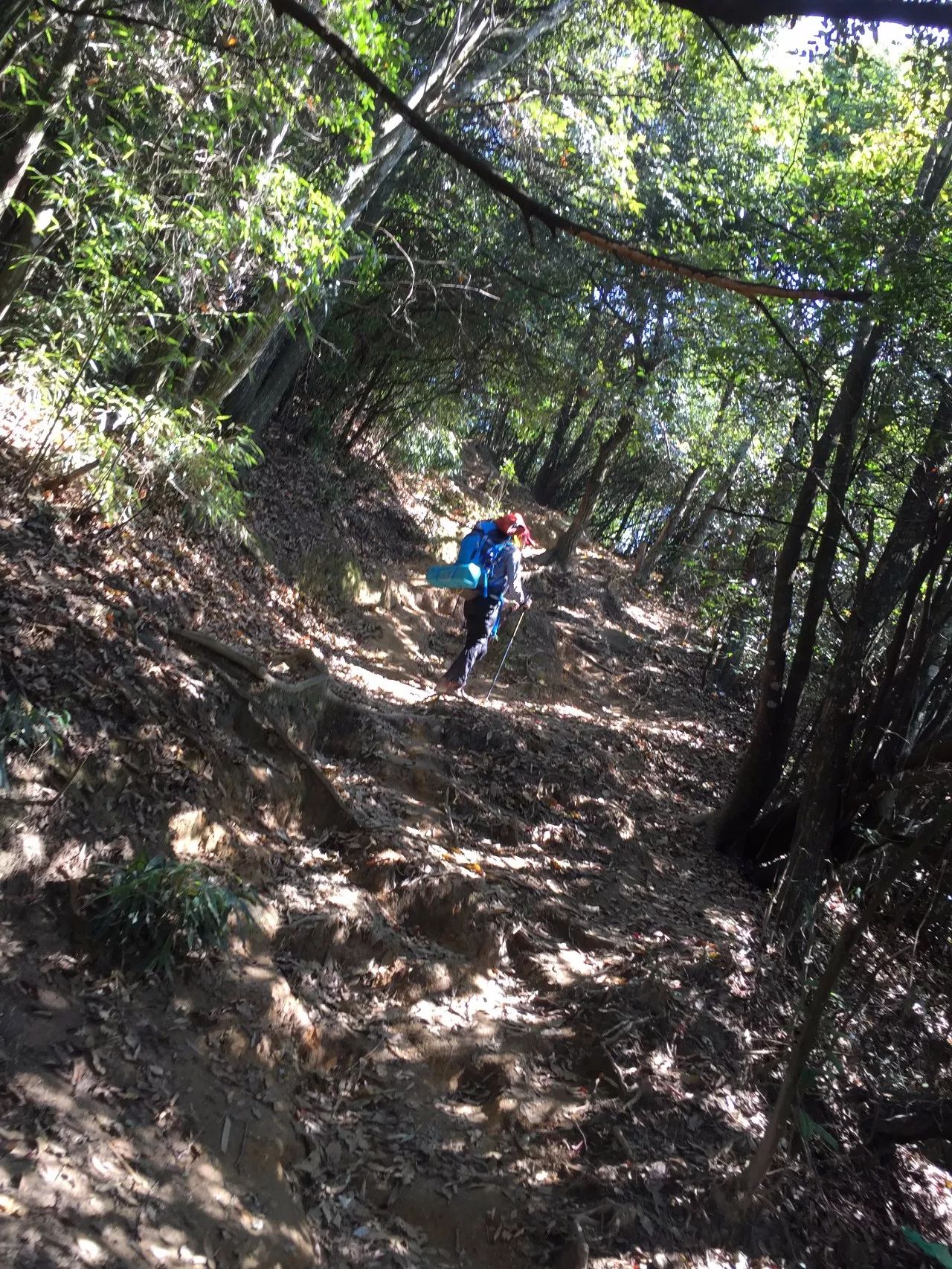 最爱那抹黄，深秋的武功山徒步之旅