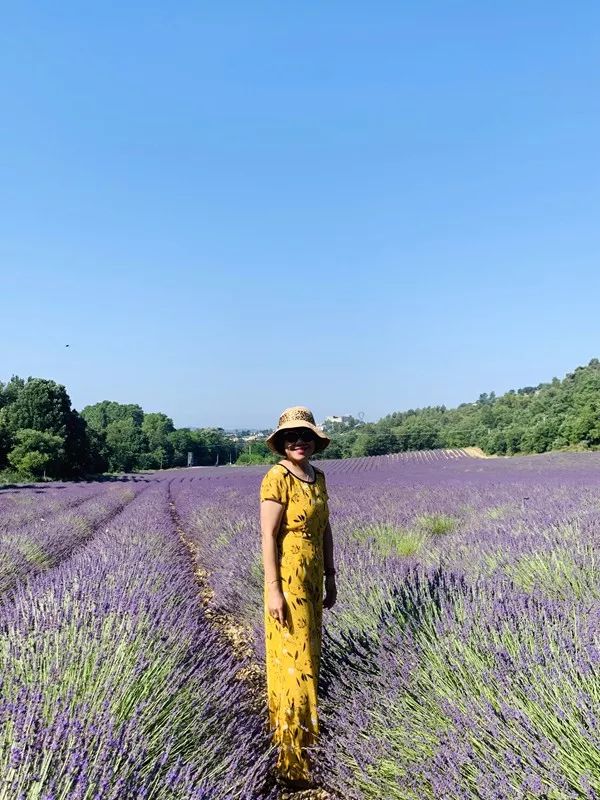 Paisaje del sur de Francia ~ Provenza