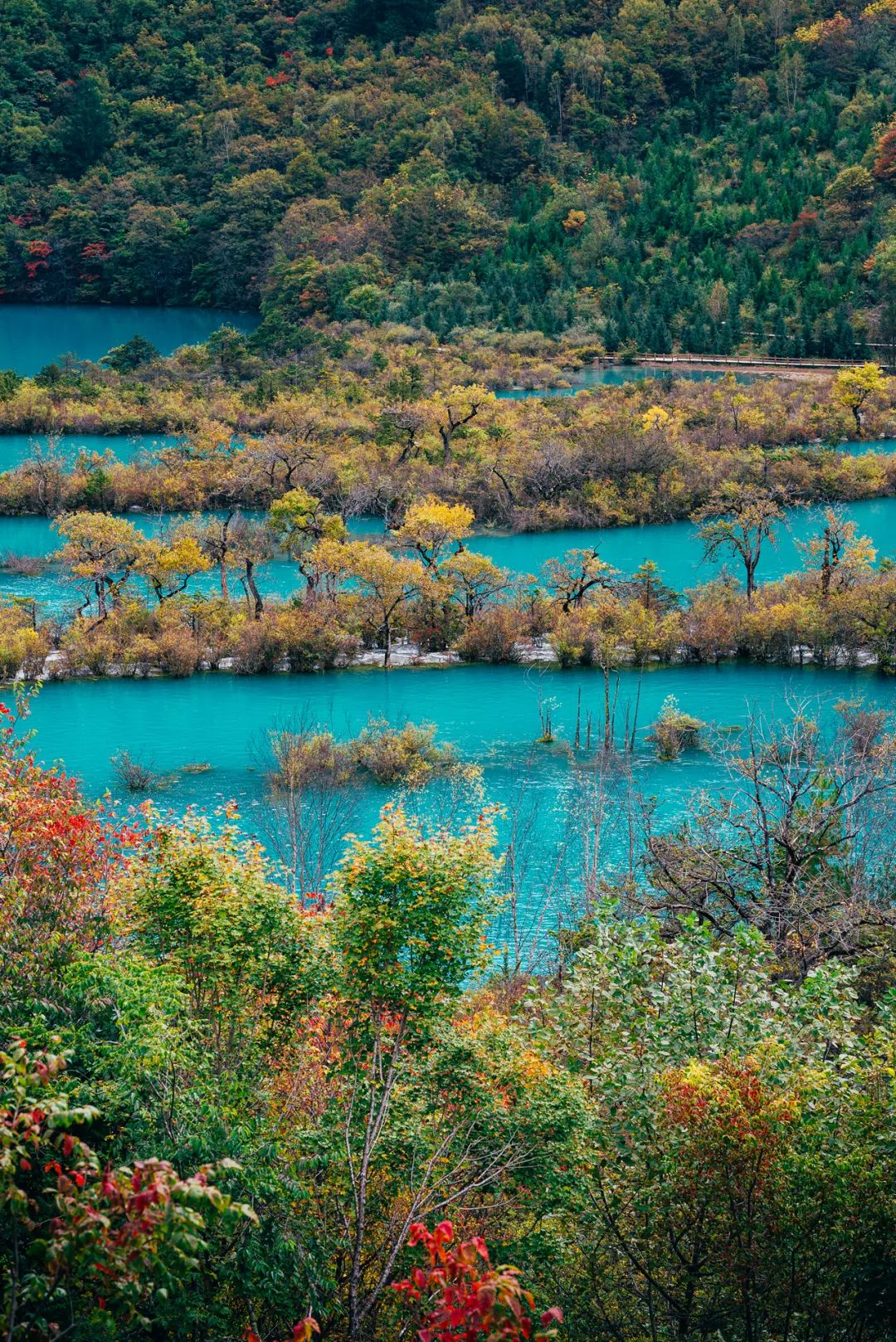 Notas sobre un viaje a Sichuan | Cita romántica en el cuento de hadas de otoño Jiuzhaigou (Parte 1)