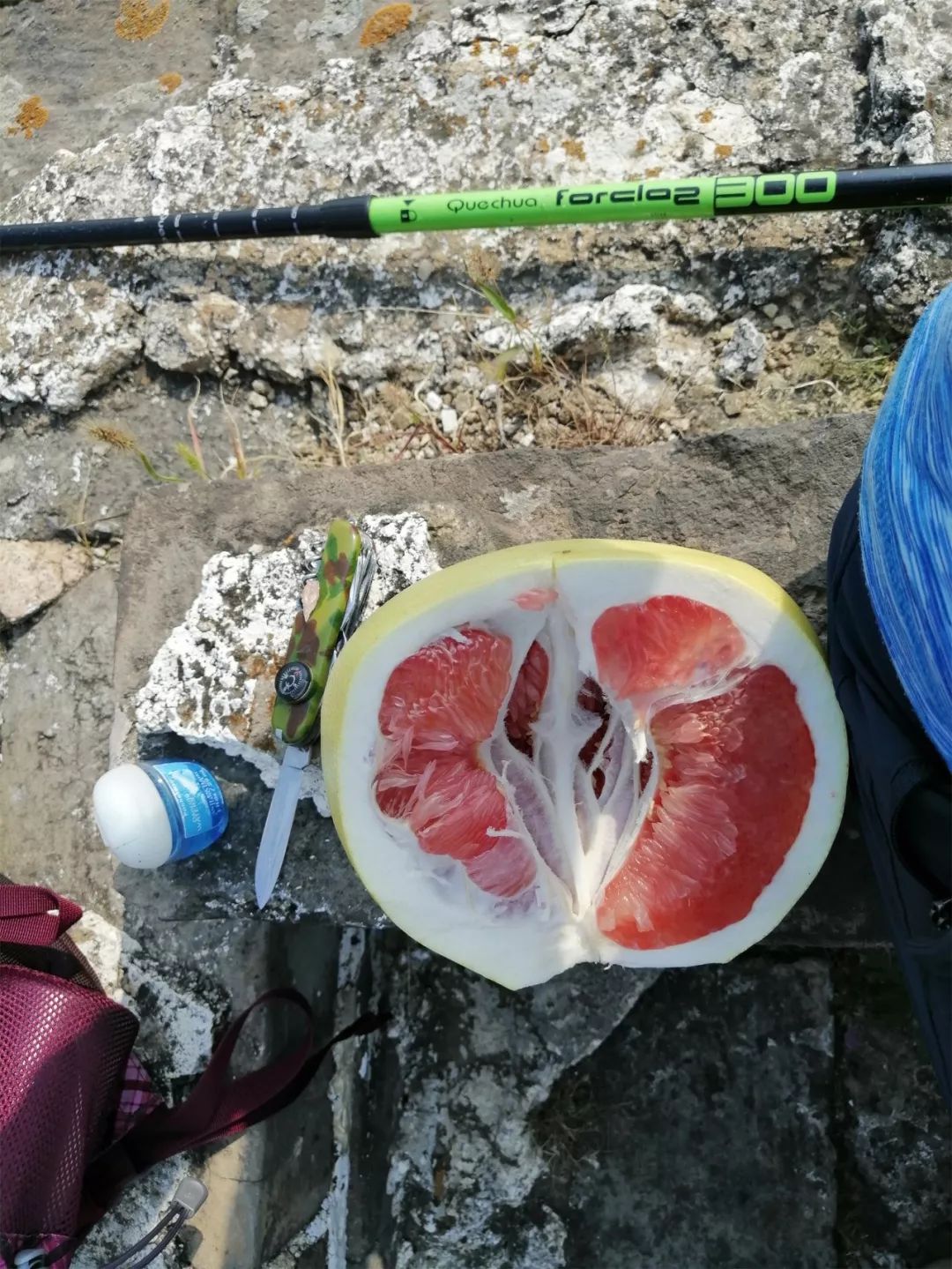 가을에 황화청을 보기 위해 산에 올라보세요