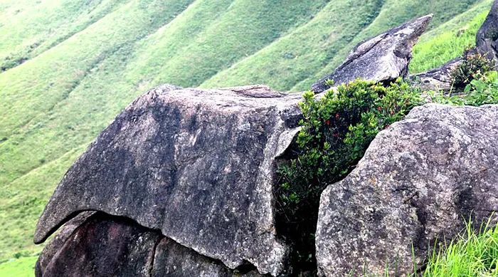 Notas de viaje He Jiajin: viaje a la montaña East Lion en Yuanyang Grassland