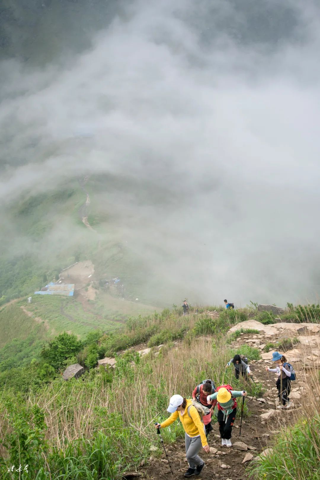 Photography | The grass in Wugong Mountain has turned green, come and climb the mountain.