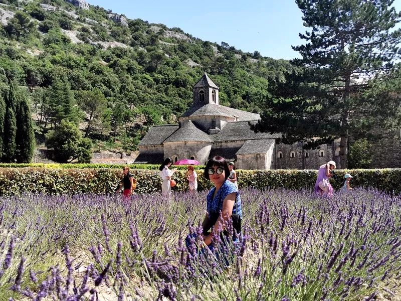 Scenery of Southern France~Avignon