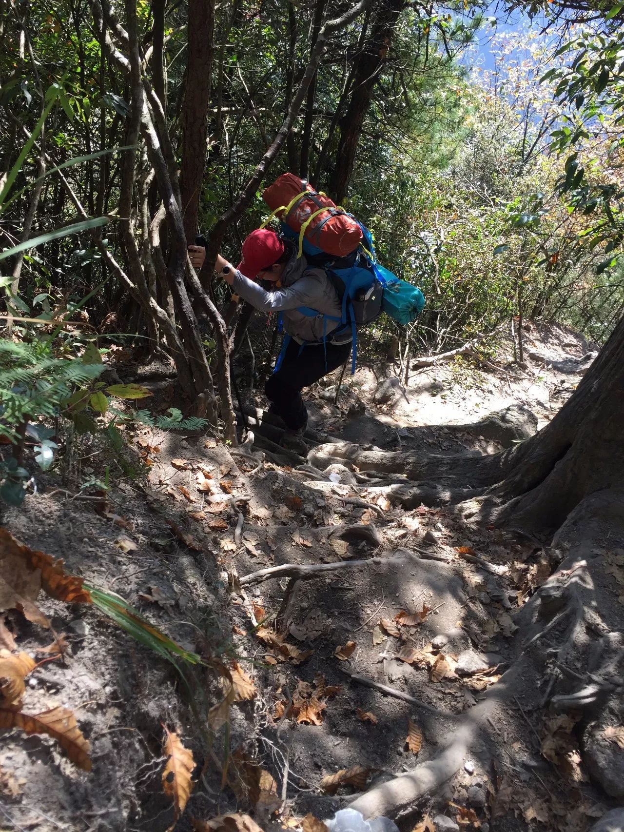 最爱那抹黄，深秋的武功山徒步之旅