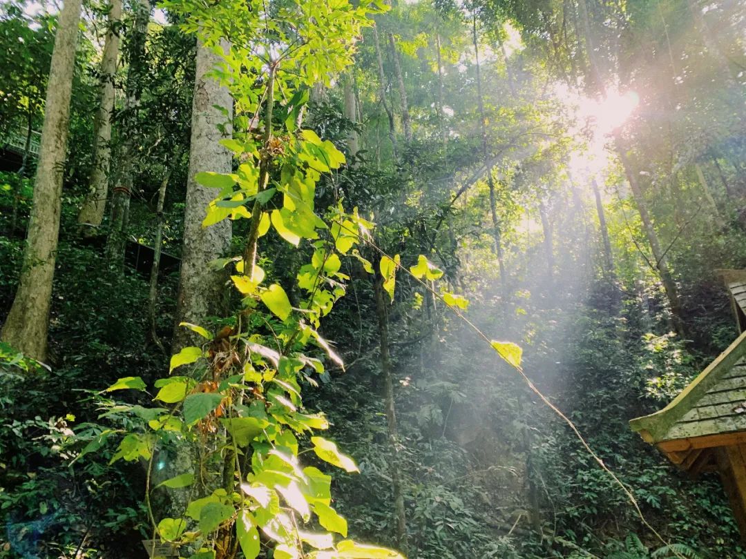 Notas de viaje | Pasemos el invierno en un pueblo tropical