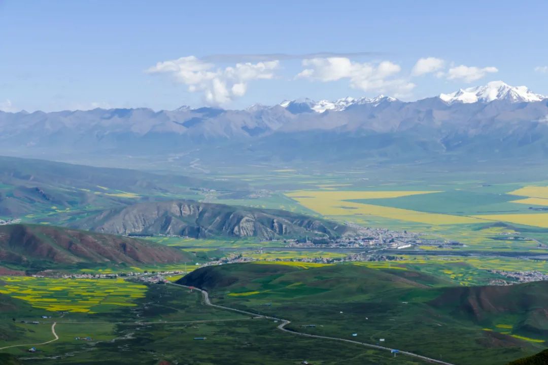 Flores de colza de Qinghai --- julio de 2020