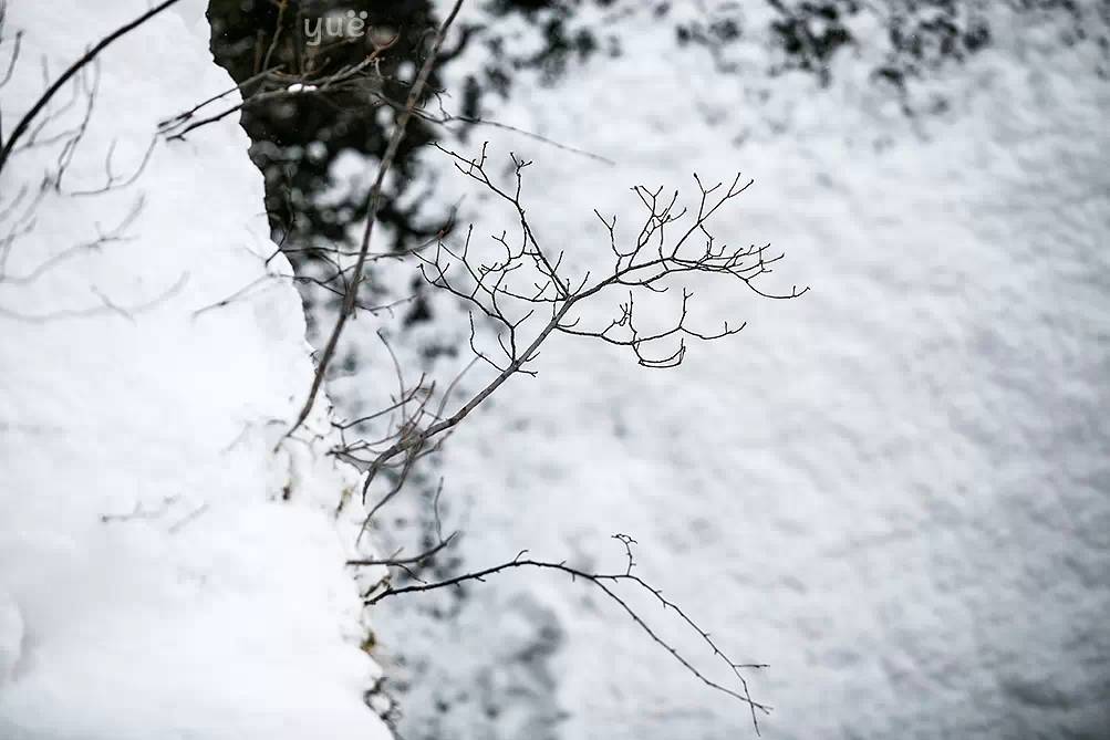 [Notas de viaje de Yue] El mundo de hielo y nieve entre -1 y 40 grados Celsius