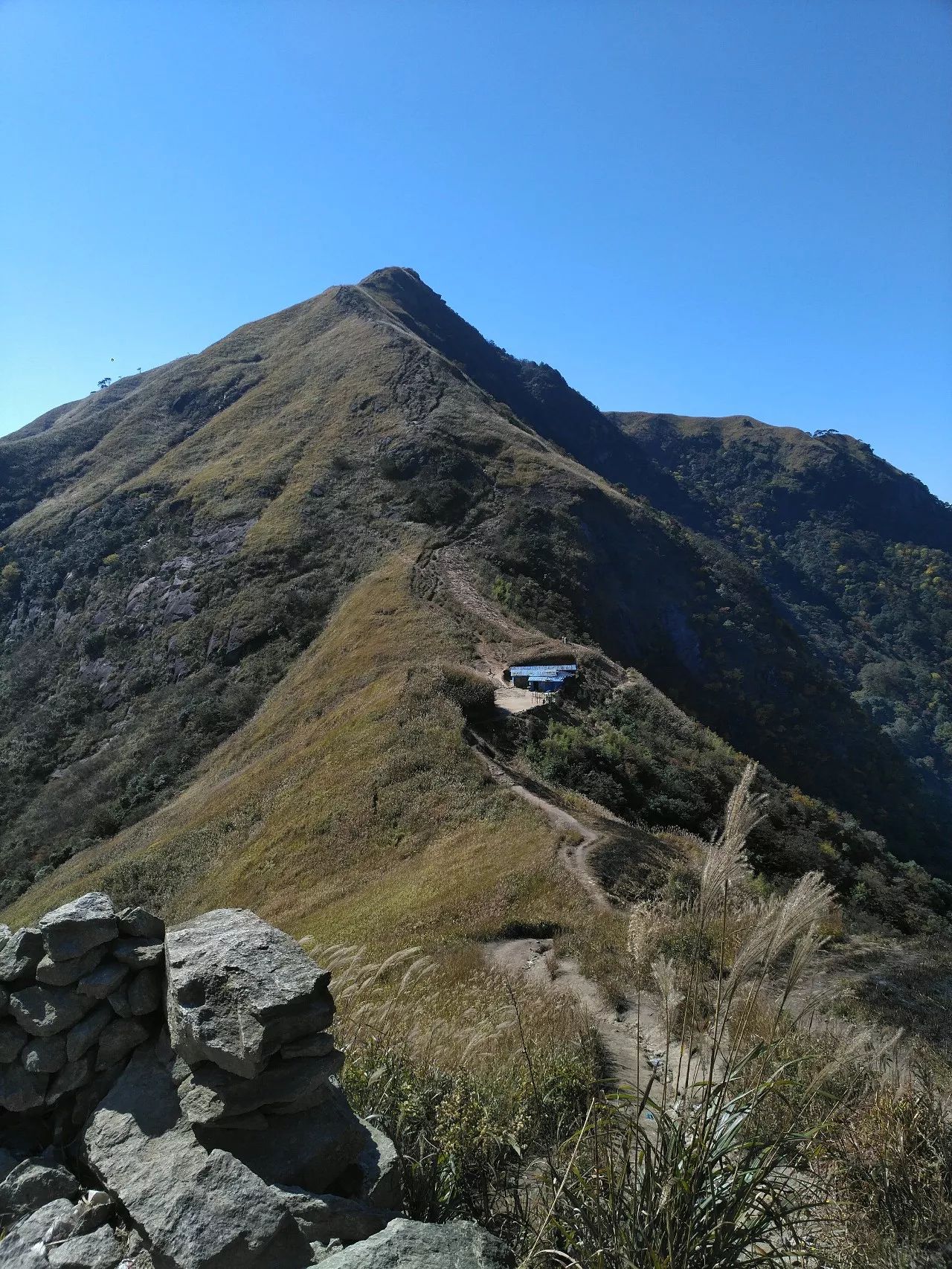 最爱那抹黄，深秋的武功山徒步之旅