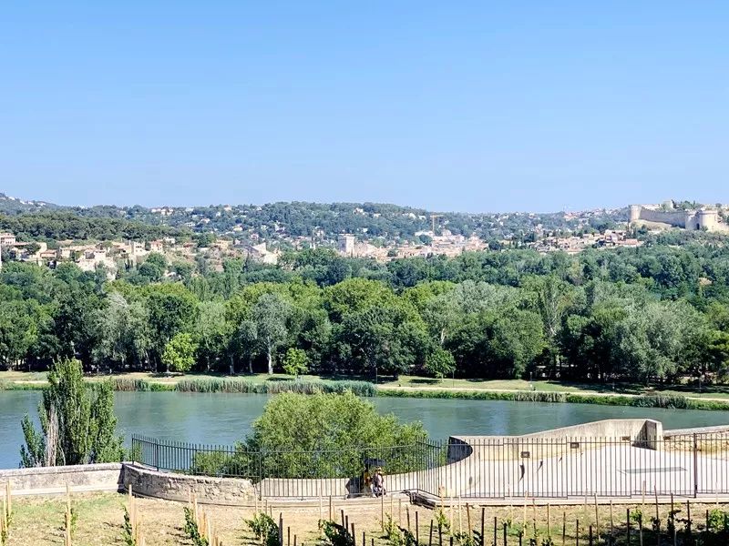 Paisaje del sur de Francia ~ Aviñón