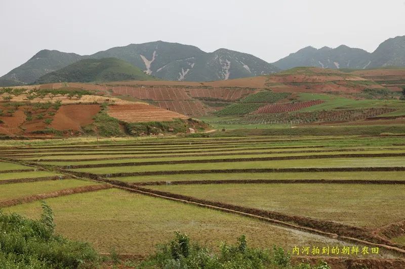 孙文慧：朝鲜游记