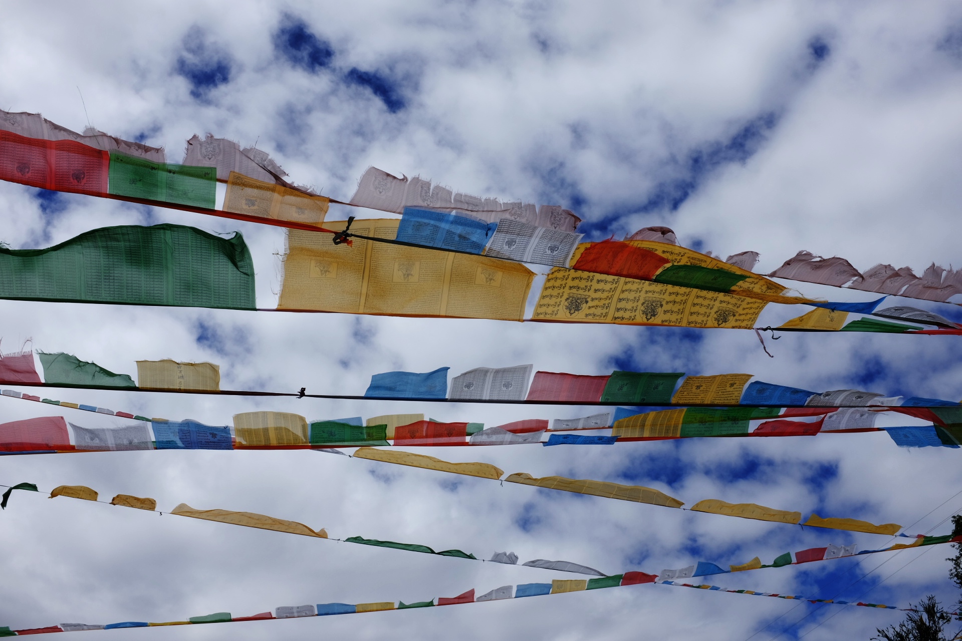 "티베트 향, 버터, 라마 사원" DAY4 그린 스마일