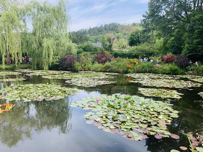 Scenery of Southern France ~ Monet’s Garden