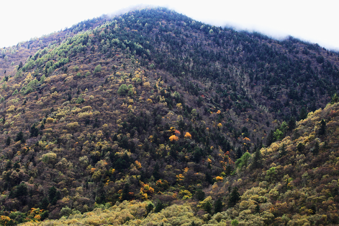 川西的旅行·肆 | 星球行脚