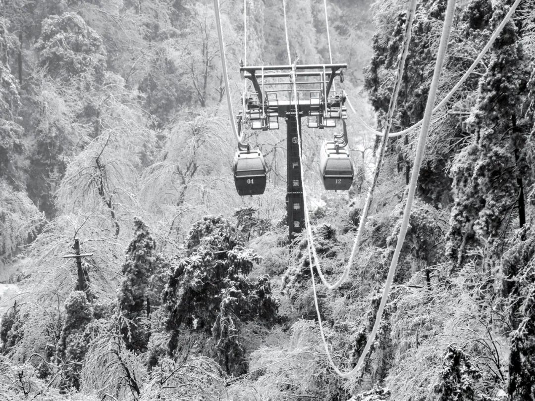 When traveling during the Spring Festival, which unique cableways in China are worth a ride?