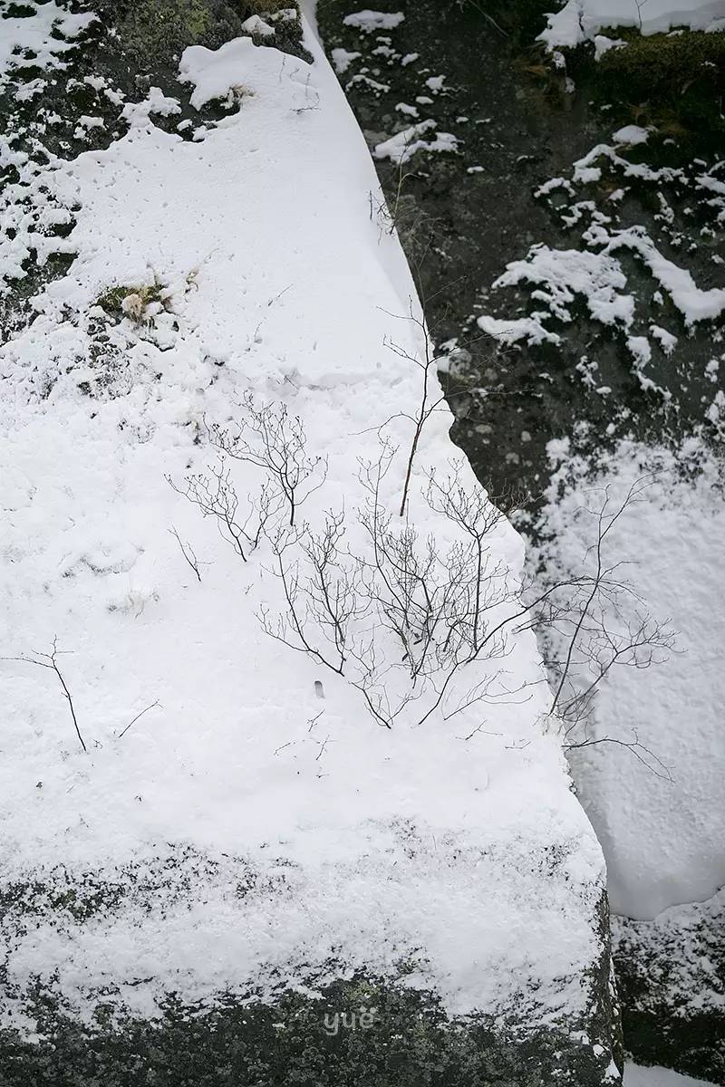 [Notas de viaje de Yue] El mundo de hielo y nieve entre -1 y 40 grados Celsius