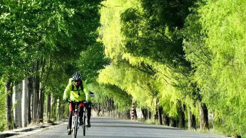 El viaje de los campesinos pobres y medios-bajos en el viento de coco y el mar --- D0: A partir del pasado de la bicicleta