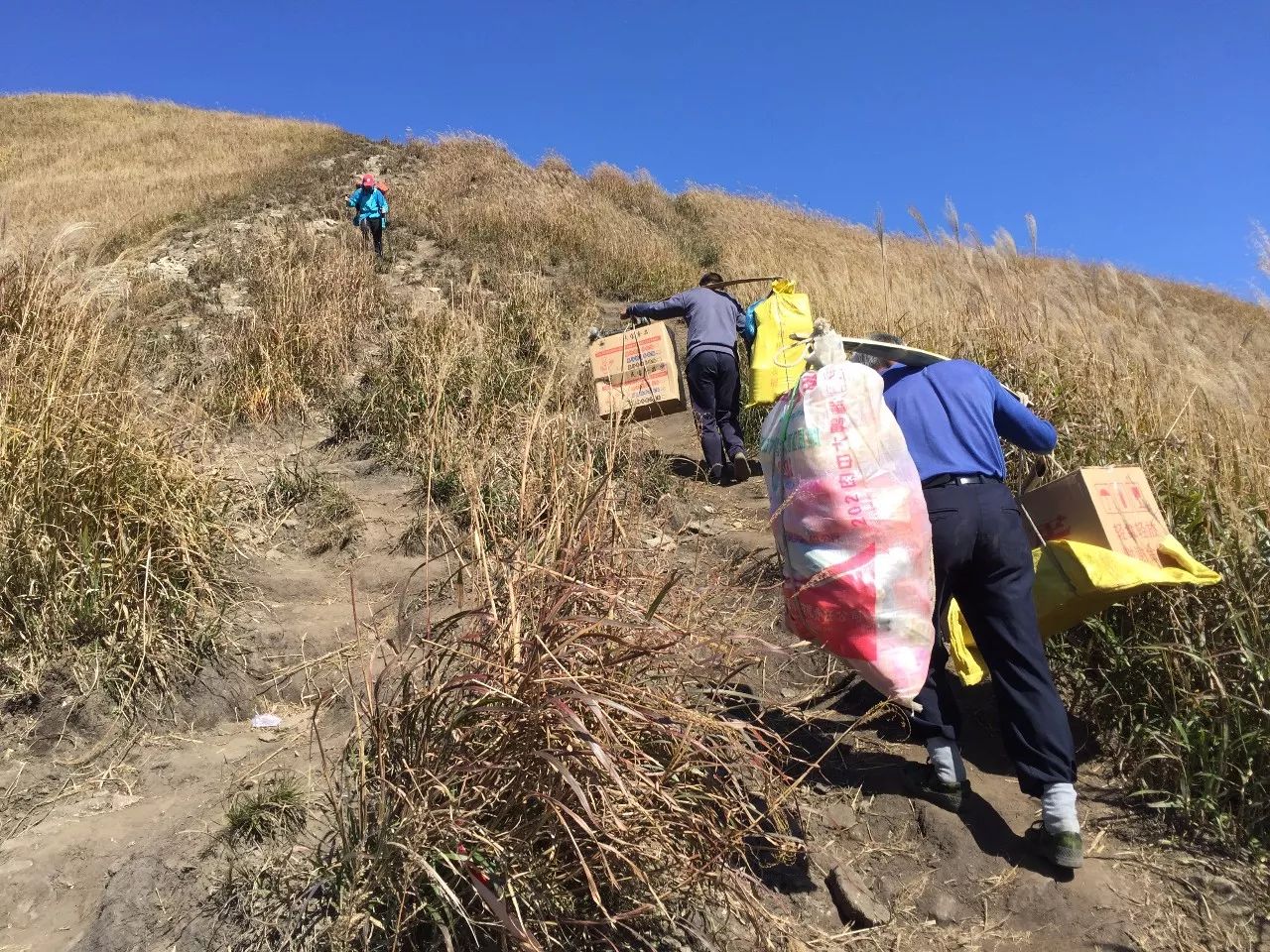 最爱那抹黄，深秋的武功山徒步之旅