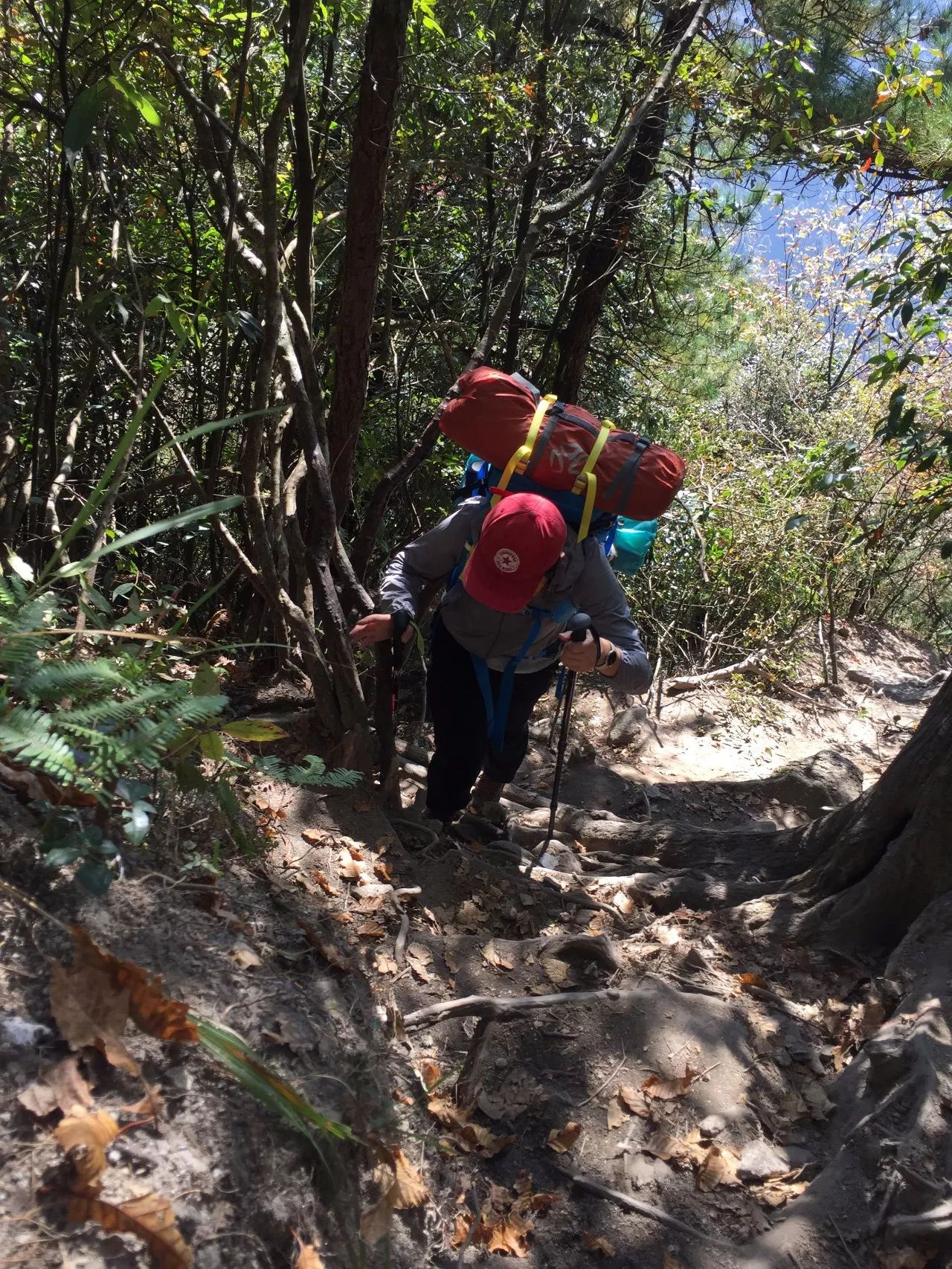 最爱那抹黄，深秋的武功山徒步之旅