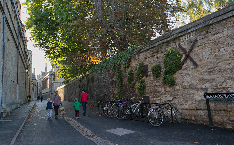 ¿No parece Oxford una universidad?