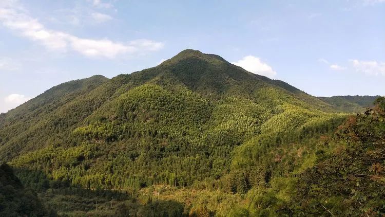 Las terrazas al lado de la cresta son amarillas.