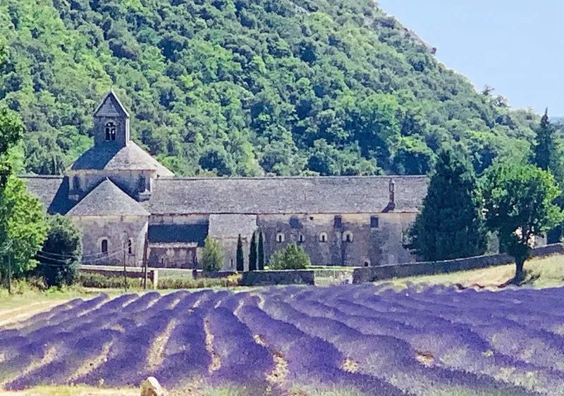 Paisaje del sur de Francia ~ Aviñón