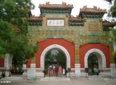 北京植物园旅游攻略 之 卧佛寺