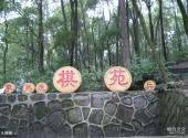 重庆歌乐山国家森林公园旅游攻略 之 棋苑