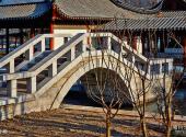 天津南普公园旅游攻略 之 小桥