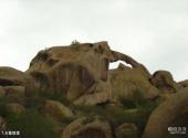 农五师怪石峪风景区旅游攻略 之 大象取食