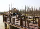 徐州潘安湖湿地公园旅游攻略 之 栈桥