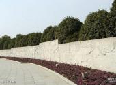上海世纪公园旅游攻略 之 绿色世界浮雕墙