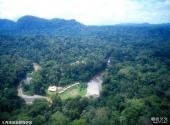 马来西亚沙巴岛旅游攻略 之 丹浓谷自然保护区