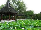 上海醉白池公园旅游攻略 之 华亭鹤