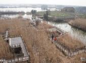 下渚湖国家湿地公园旅游攻略 之 竹桥迷宫