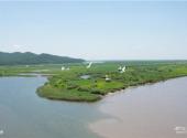黑龙江八岔岛国家级自然保护区旅游攻略 之 鸟类