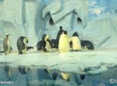天津海昌极地海洋世界旅游攻略 之 极地动物展区