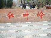 北京八达岭国家森林公园旅游攻略 之 红叶岭