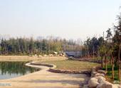 西安航天城中湖公园旅游攻略 之 环湖散步区
