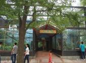 北京动物园旅游攻略 之 热带小猴馆