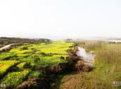 衡阳锡岩仙洞—洣水风光带旅游攻略 之 油菜花